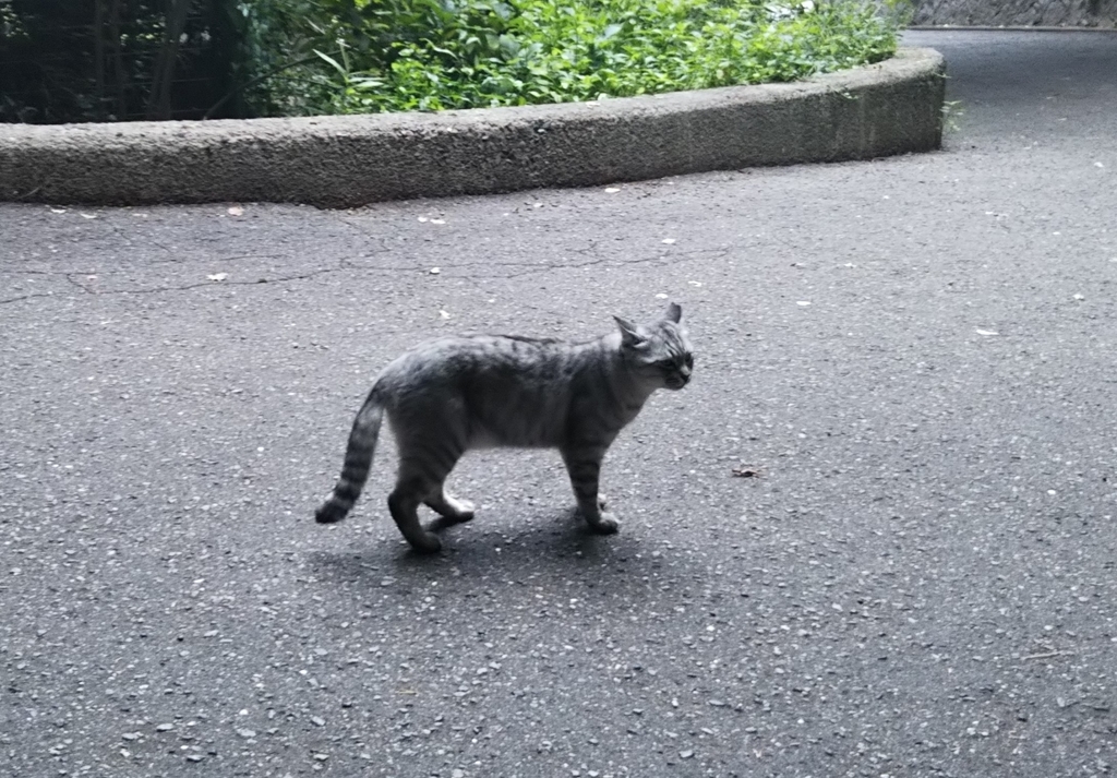 f:id:tarojiroko:20180906151123j:plain f:id:tarojiroko:20180906151123j:plain