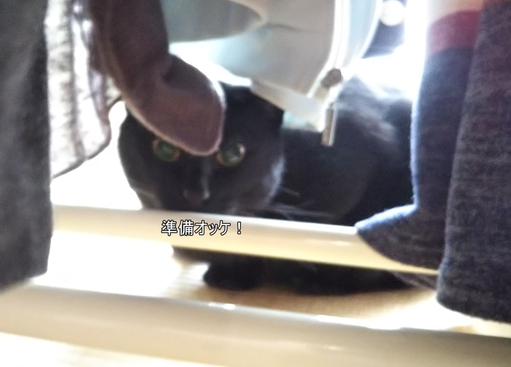 f:id:tarojiroko:20180909073553j:plain f:id:tarojiroko:20180909073553j:plain
