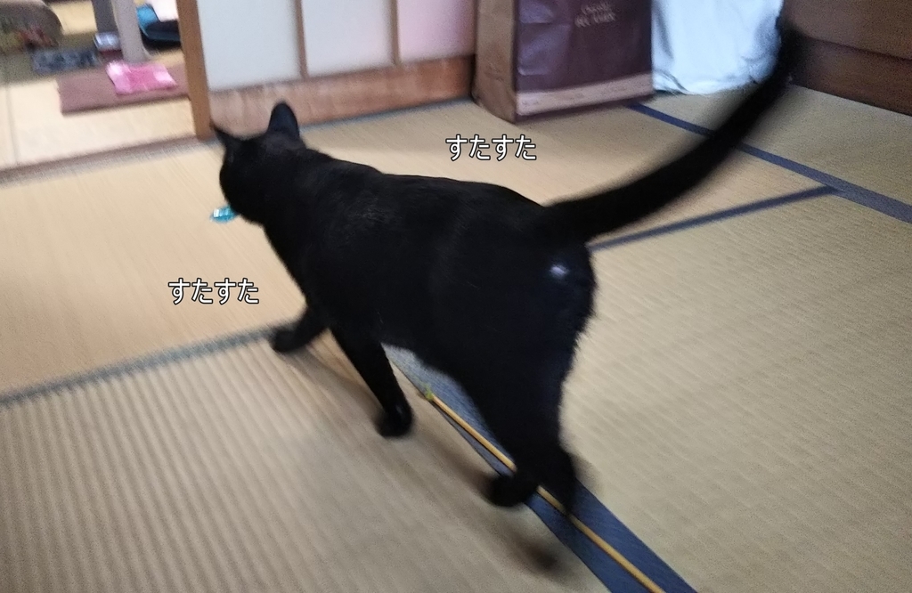 f:id:tarojiroko:20180909074010j:plain f:id:tarojiroko:20180909074010j:plain