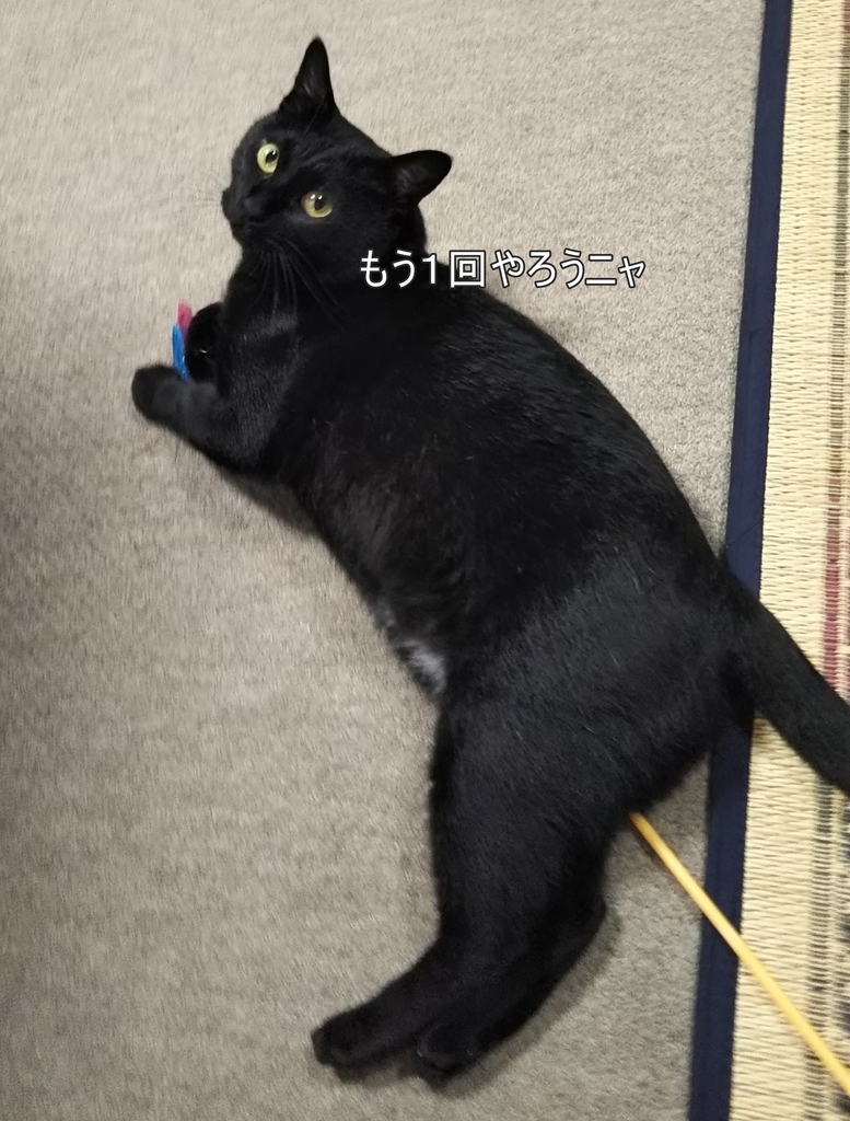 f:id:tarojiroko:20180909074017j:plain f:id:tarojiroko:20180909074017j:plain