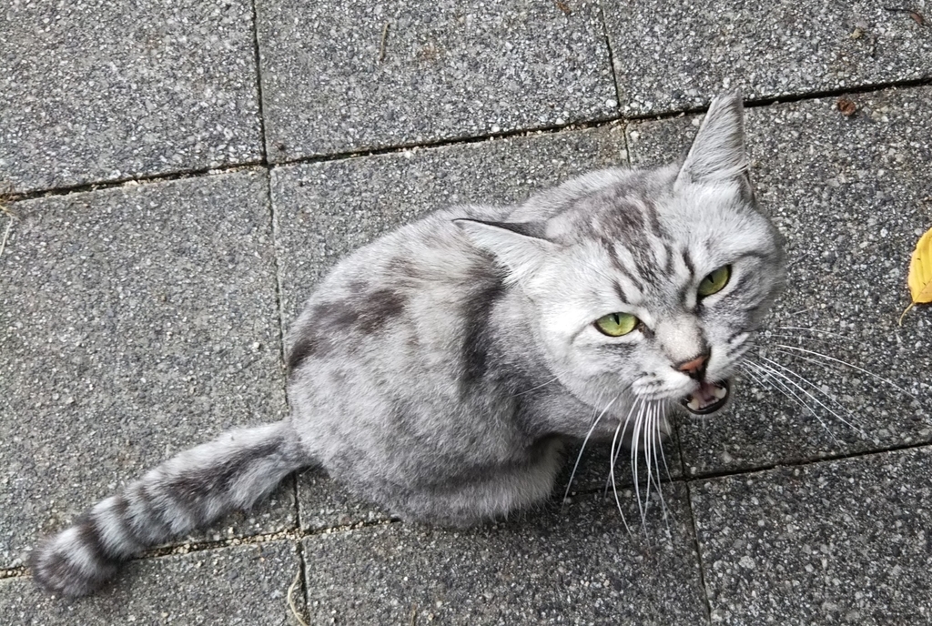 f:id:tarojiroko:20180910142508j:plain f:id:tarojiroko:20180910142508j:plain
