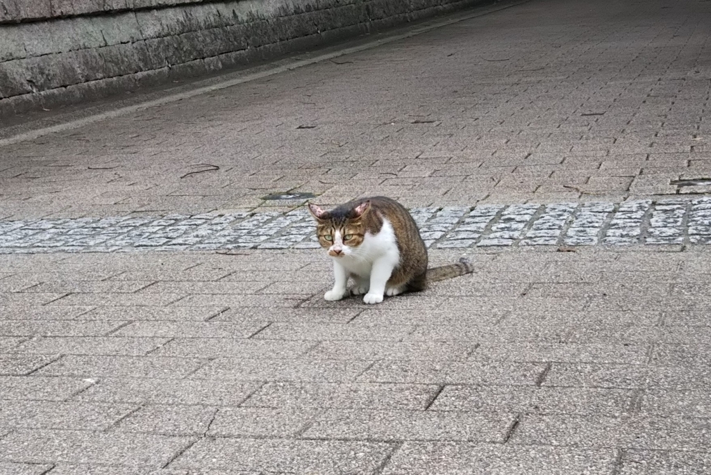 f:id:tarojiroko:20180910143803j:plain f:id:tarojiroko:20180910143803j:plain
