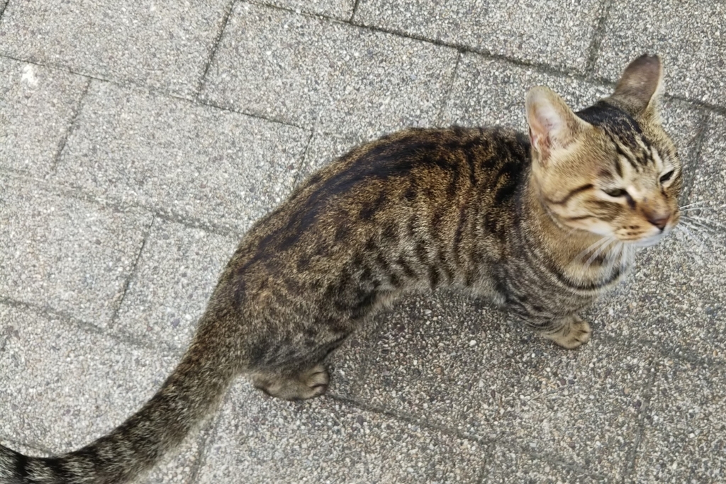 f:id:tarojiroko:20180910143827j:plain f:id:tarojiroko:20180910143827j:plain