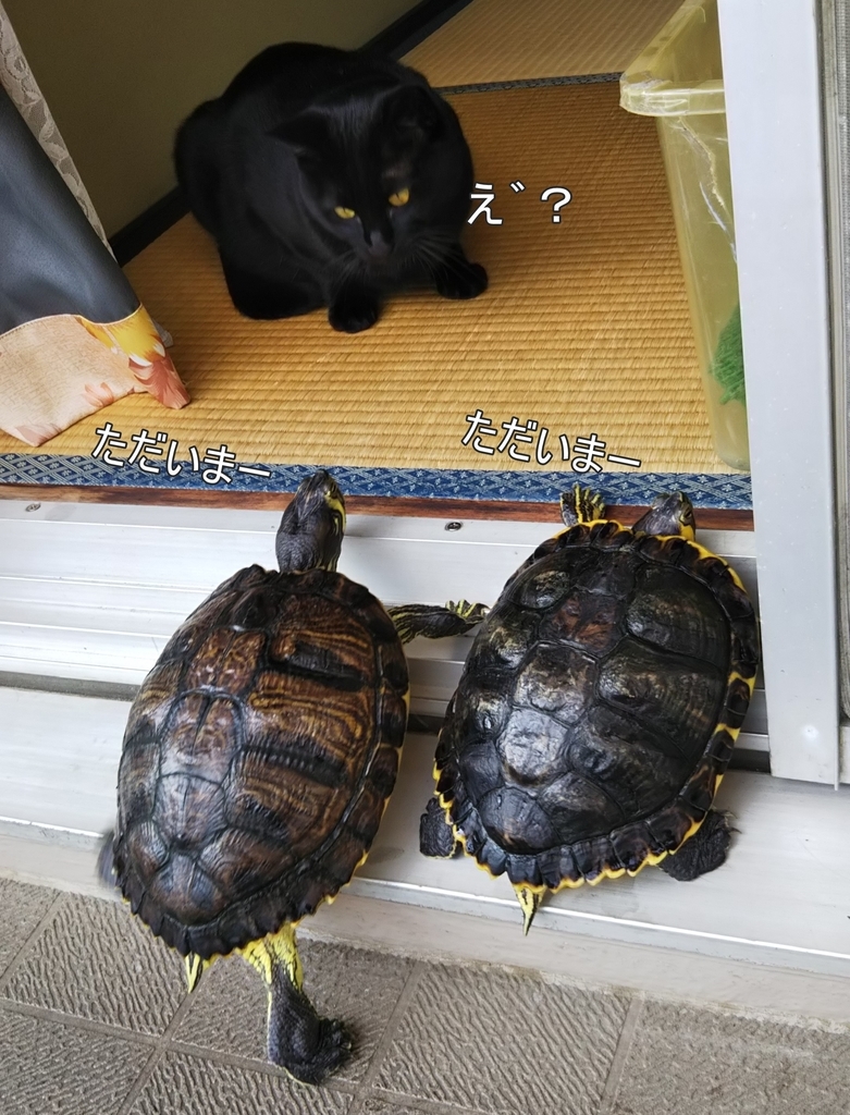 f:id:tarojiroko:20180919140823j:plain f:id:tarojiroko:20180919140823j:plain