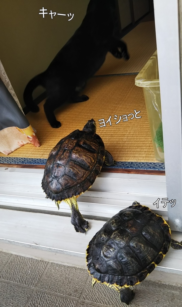 f:id:tarojiroko:20180919140825j:plain f:id:tarojiroko:20180919140825j:plain