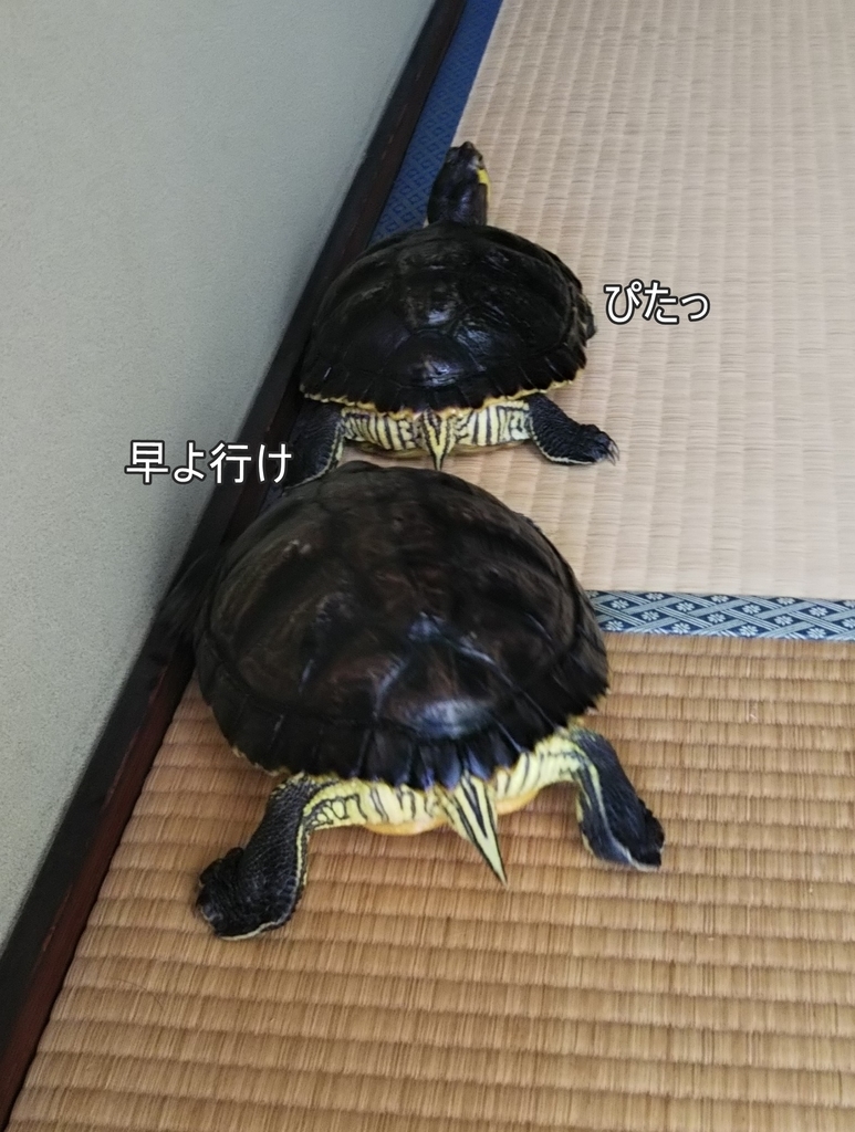 f:id:tarojiroko:20180919140953j:plain f:id:tarojiroko:20180919140953j:plain