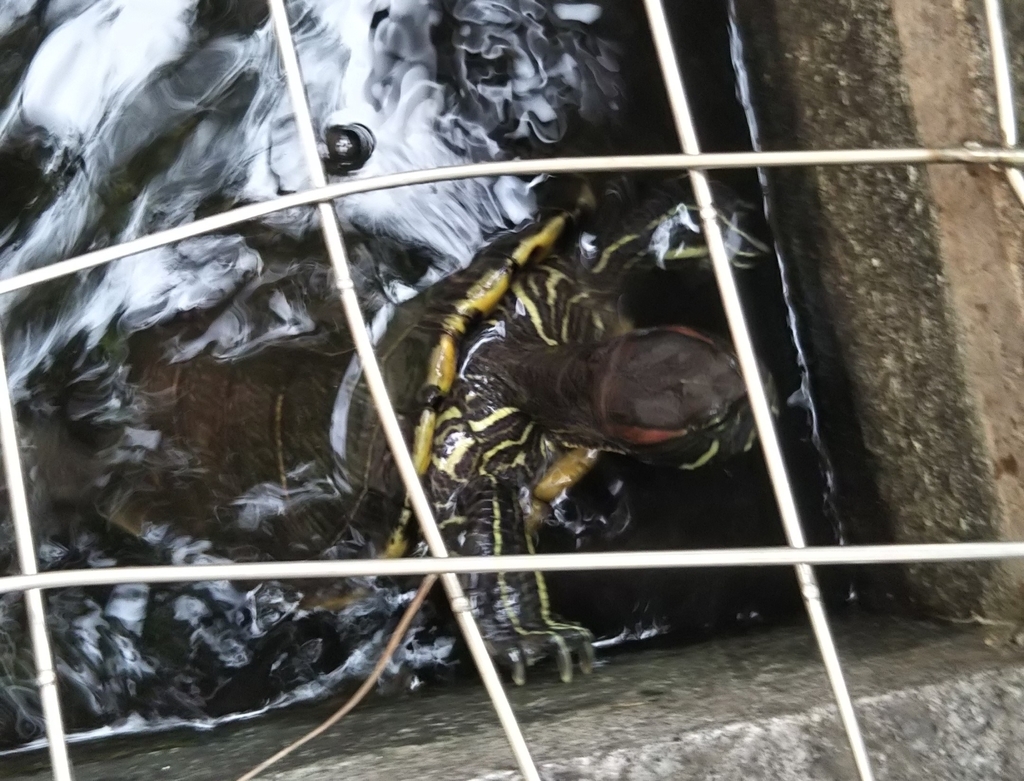 f:id:tarojiroko:20180923164239j:plain f:id:tarojiroko:20180923164239j:plain