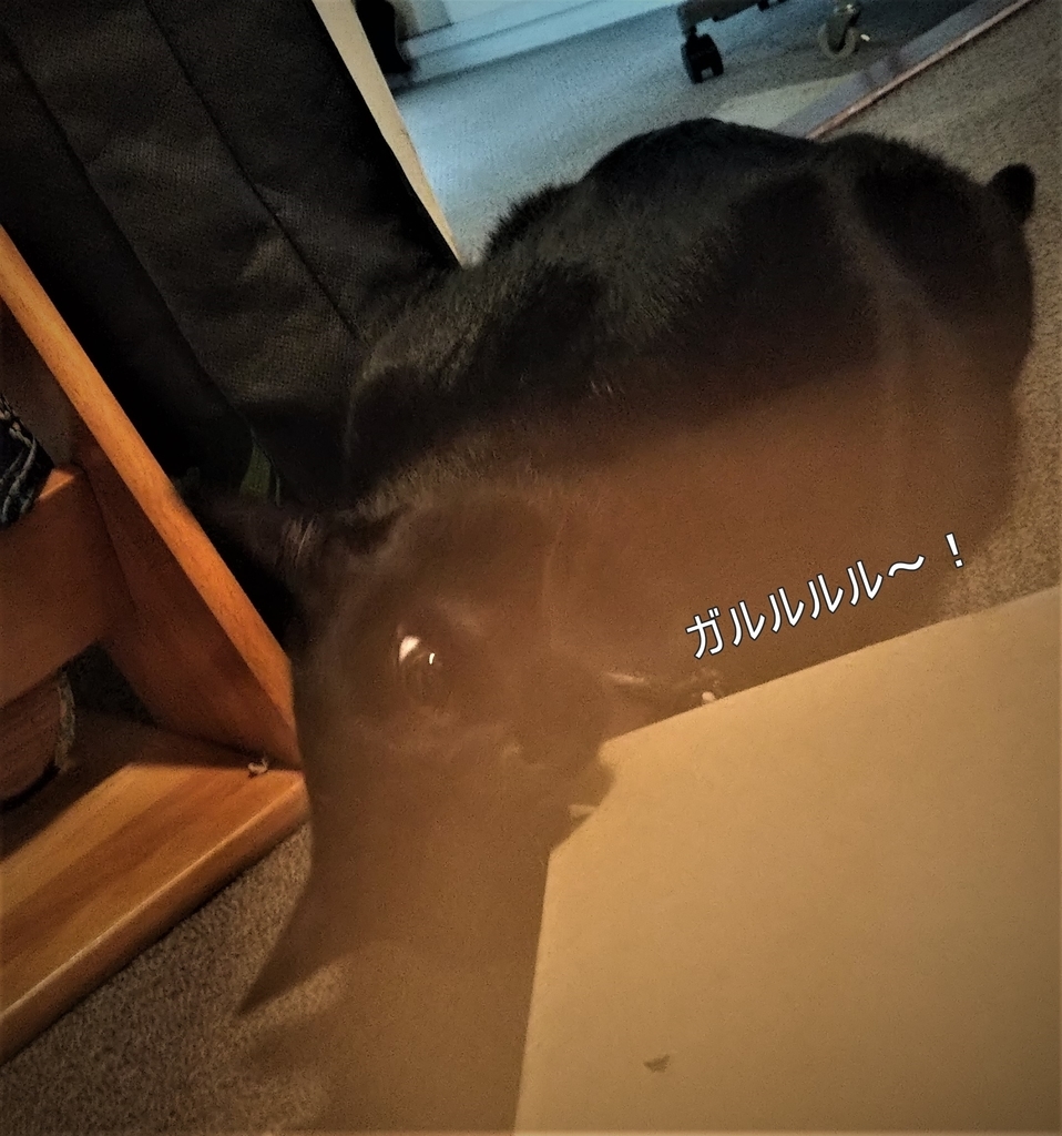 f:id:tarojiroko:20180929104946j:plain