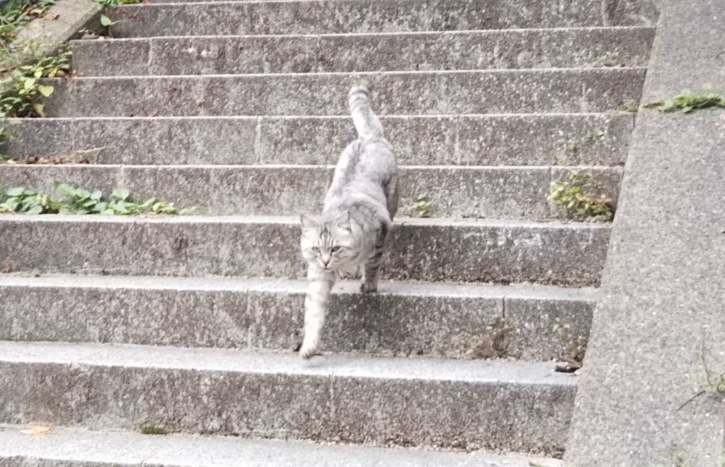 f:id:tarojiroko:20181002152037j:plain