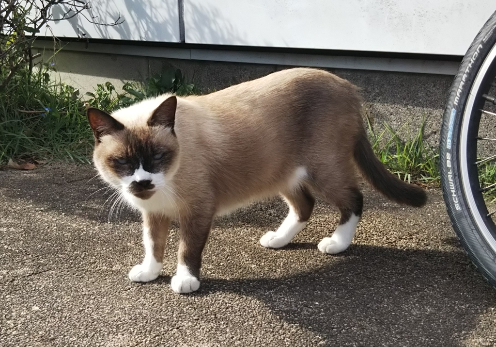 f:id:tarojiroko:20181012143041j:plain f:id:tarojiroko:20181012143041j:plain