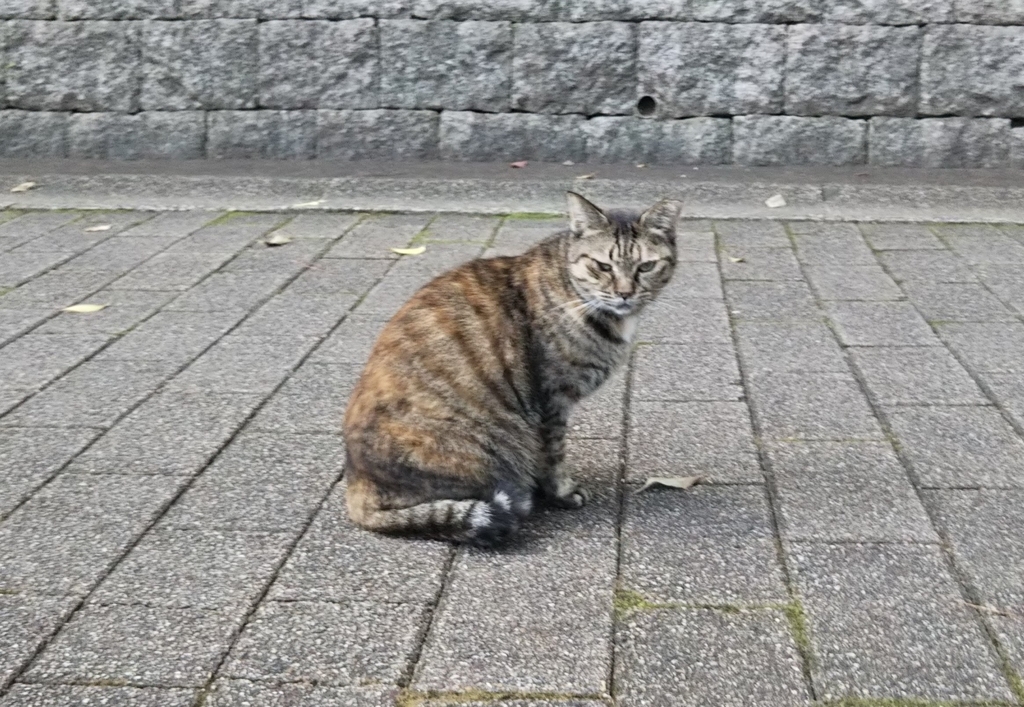 f:id:tarojiroko:20181012145449j:plain f:id:tarojiroko:20181012145449j:plain