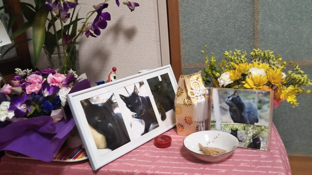 f:id:tarojiroko:20181016172440j:plain f:id:tarojiroko:20181016172440j:plain