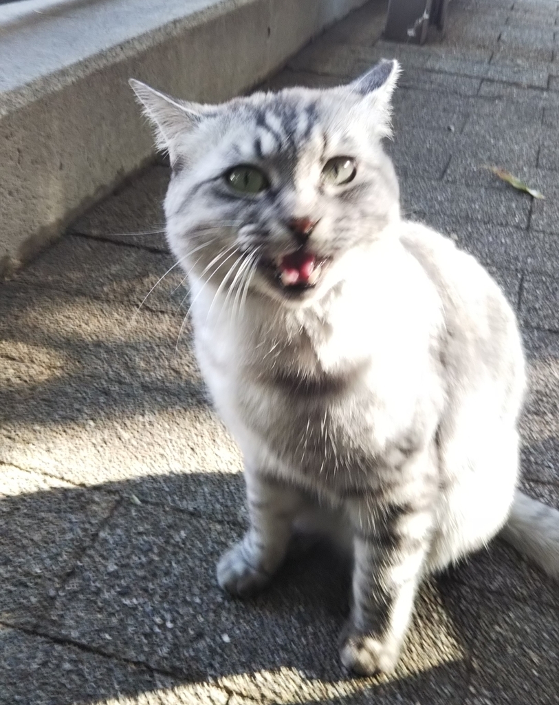 f:id:tarojiroko:20181030142720j:plain