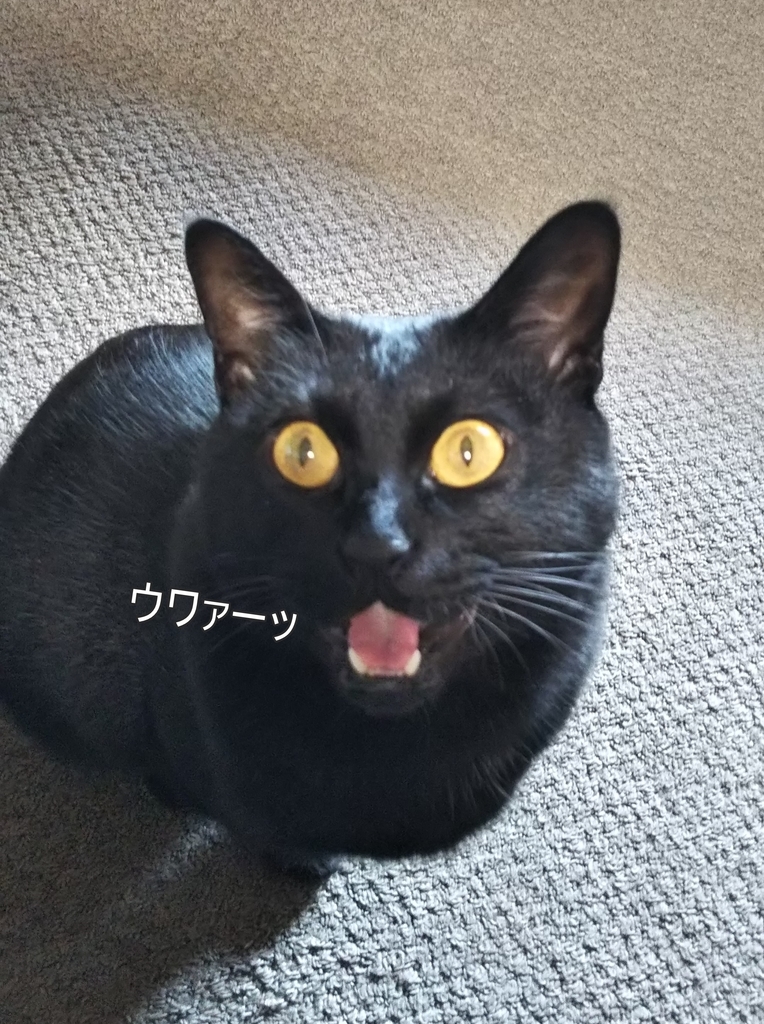 f:id:tarojiroko:20181101132244j:plain