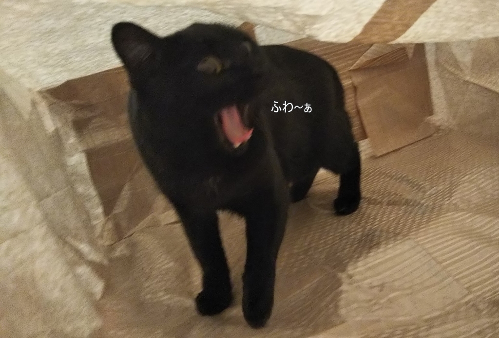 f:id:tarojiroko:20181122084144j:plain