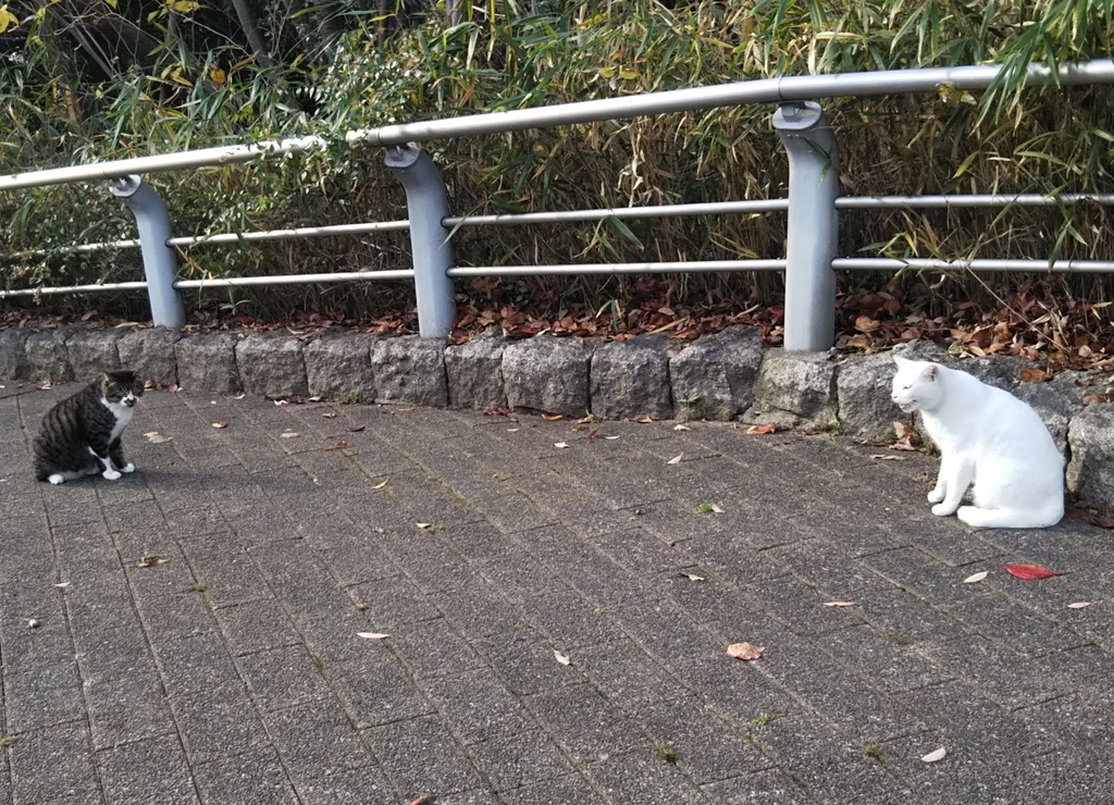 f:id:tarojiroko:20181205144931j:plain