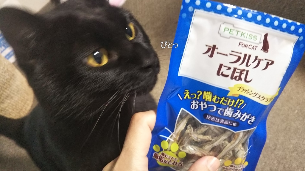 f:id:tarojiroko:20181207153515j:plain