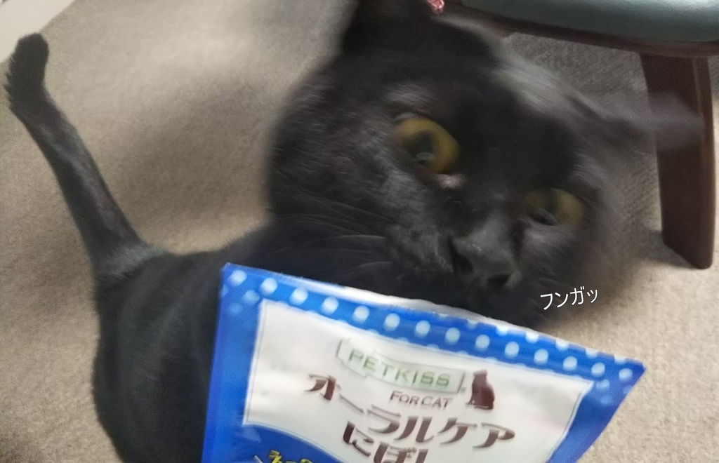 f:id:tarojiroko:20181207153541j:plain