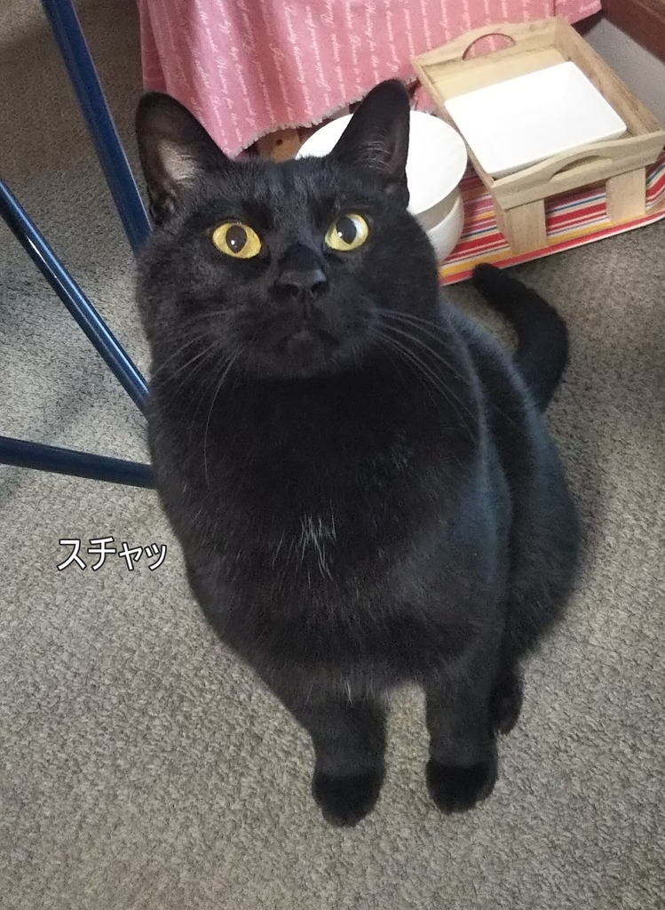 f:id:tarojiroko:20181207153621j:plain
