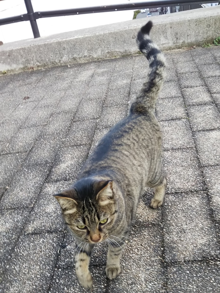 f:id:tarojiroko:20181213133858j:plain