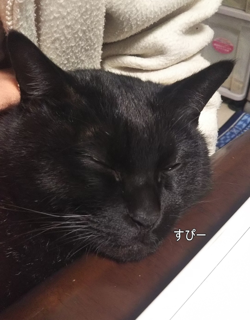 f:id:tarojiroko:20181226105735j:plain