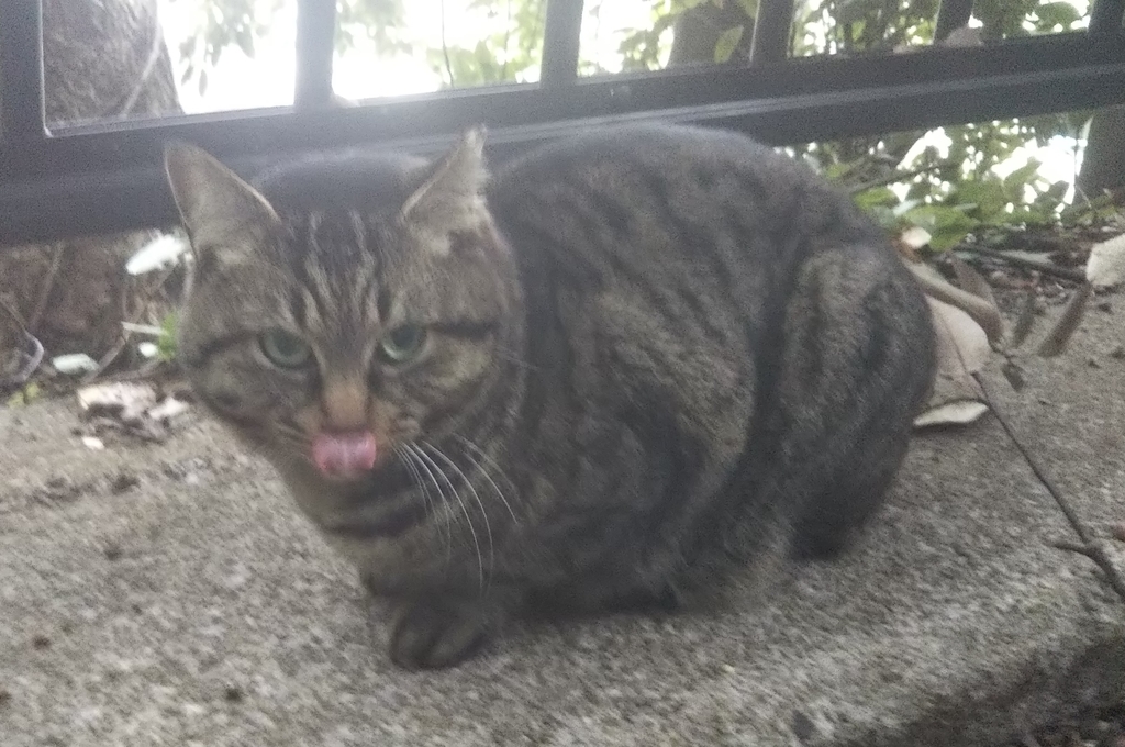 f:id:tarojiroko:20190110143028j:plain