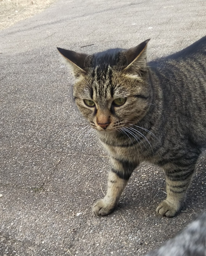 f:id:tarojiroko:20190115143451j:plain f:id:tarojiroko:20190115143451j:plain
