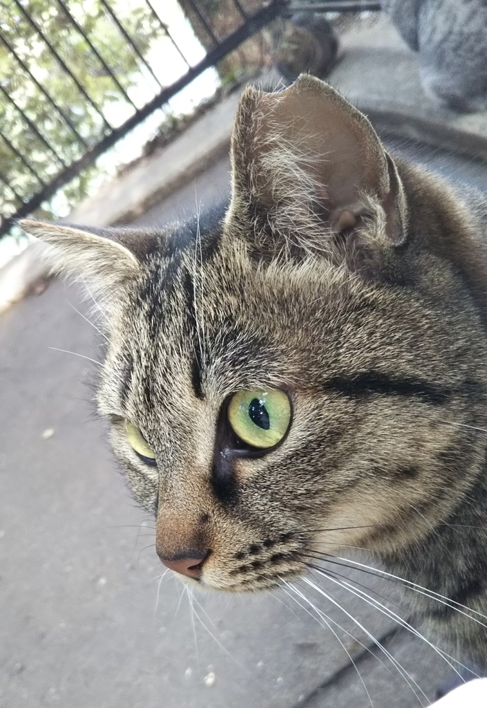 f:id:tarojiroko:20190121144004j:plain