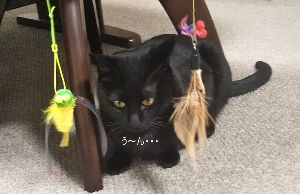 f:id:tarojiroko:20190128160330j:plain f:id:tarojiroko:20190128160330j:plain