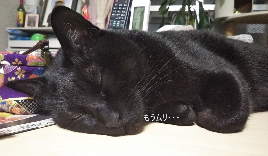 f:id:tarojiroko:20190213203013j:plain