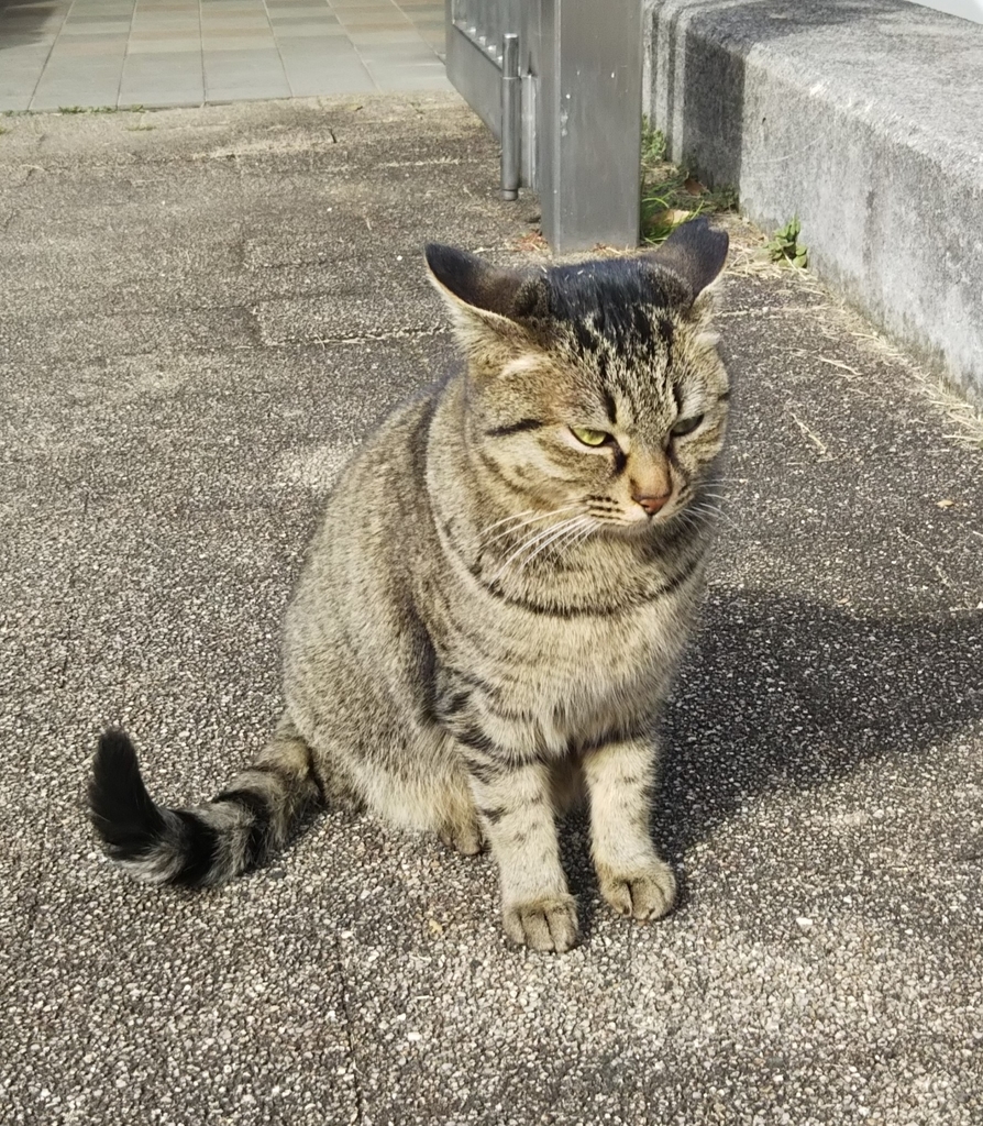 f:id:tarojiroko:20190214135256j:plain