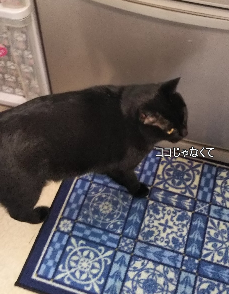 f:id:tarojiroko:20190217111552j:plain f:id:tarojiroko:20190217111552j:plain