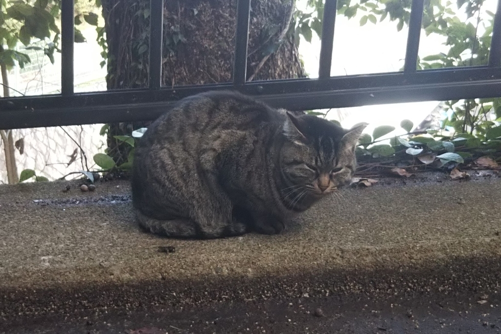 f:id:tarojiroko:20190220145441j:plain f:id:tarojiroko:20190220145441j:plain