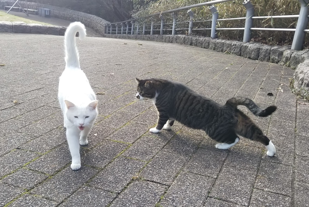 f:id:tarojiroko:20190220150519j:plain f:id:tarojiroko:20190220150519j:plain