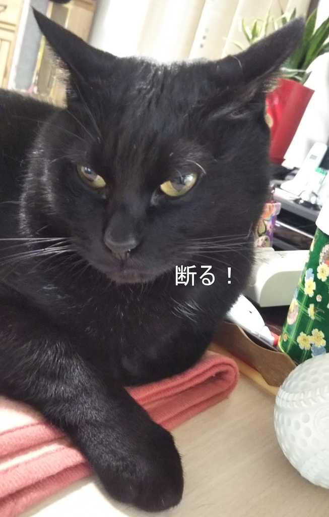 f:id:tarojiroko:20190310112512j:plain