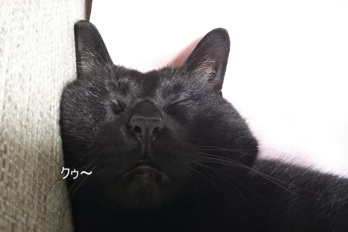 f:id:tarojiroko:20190607200429j:plain