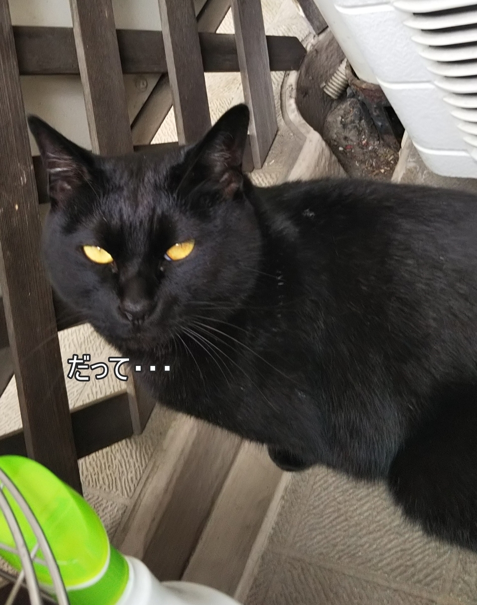 f:id:tarojiroko:20190622161558j:plain