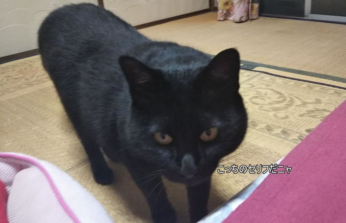 f:id:tarojiroko:20190628000609j:plain f:id:tarojiroko:20190628000609j:plain