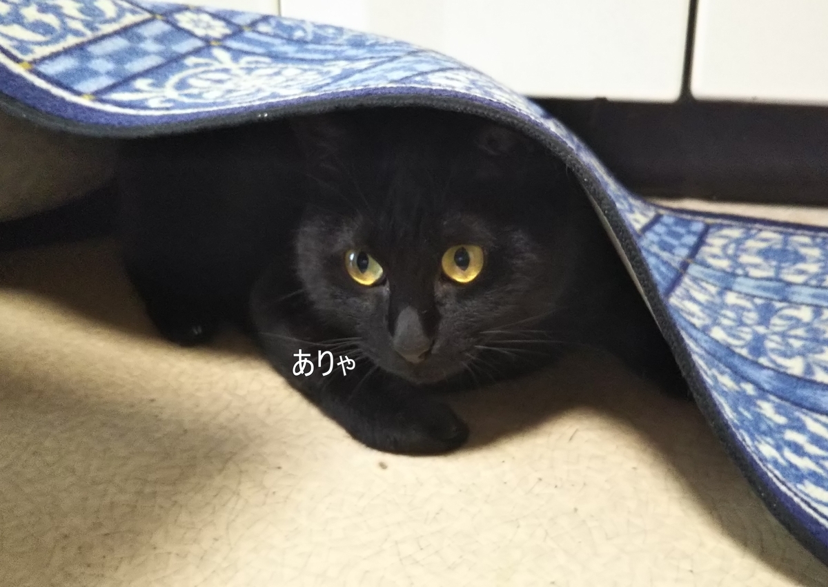 f:id:tarojiroko:20190813154701j:plain