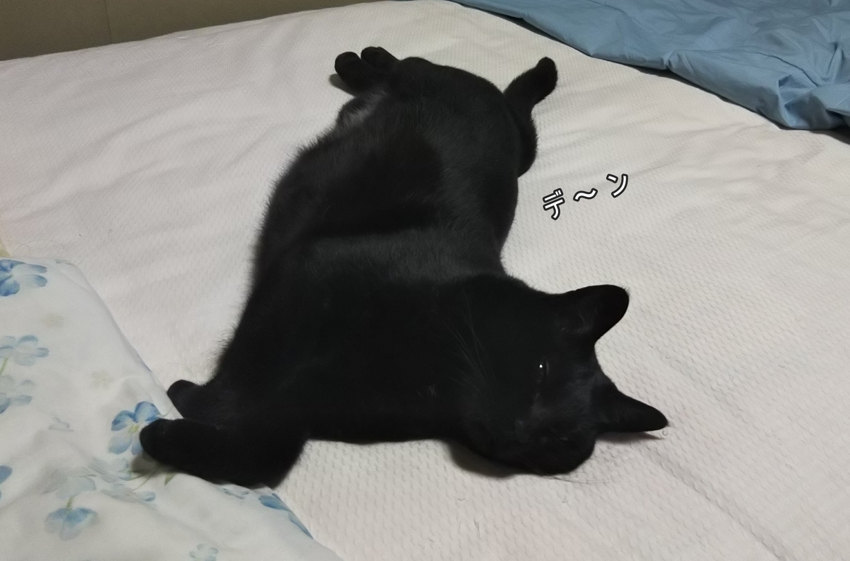 f:id:tarojiroko:20190913221152j:plain