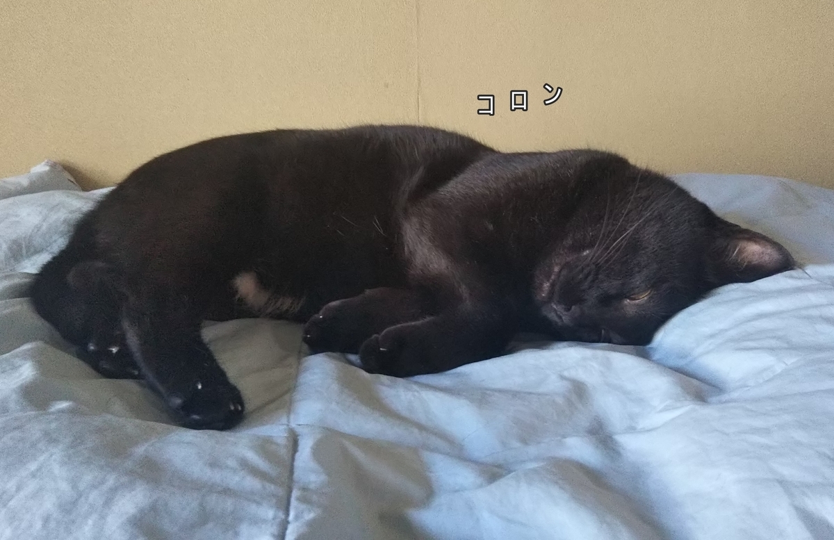 f:id:tarojiroko:20190916151752j:plain