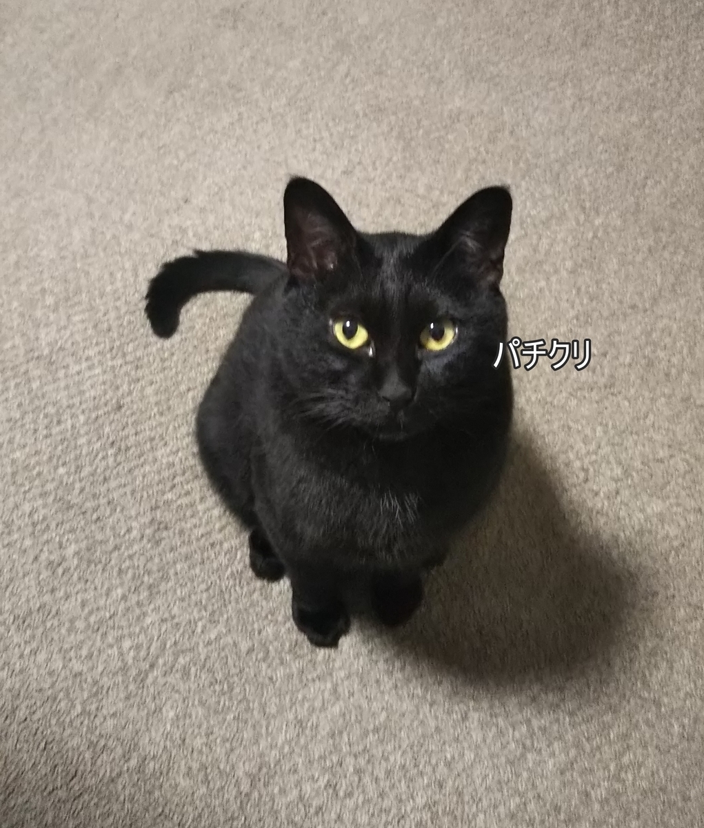 f:id:tarojiroko:20191003204241j:plain f:id:tarojiroko:20191003204241j:plain