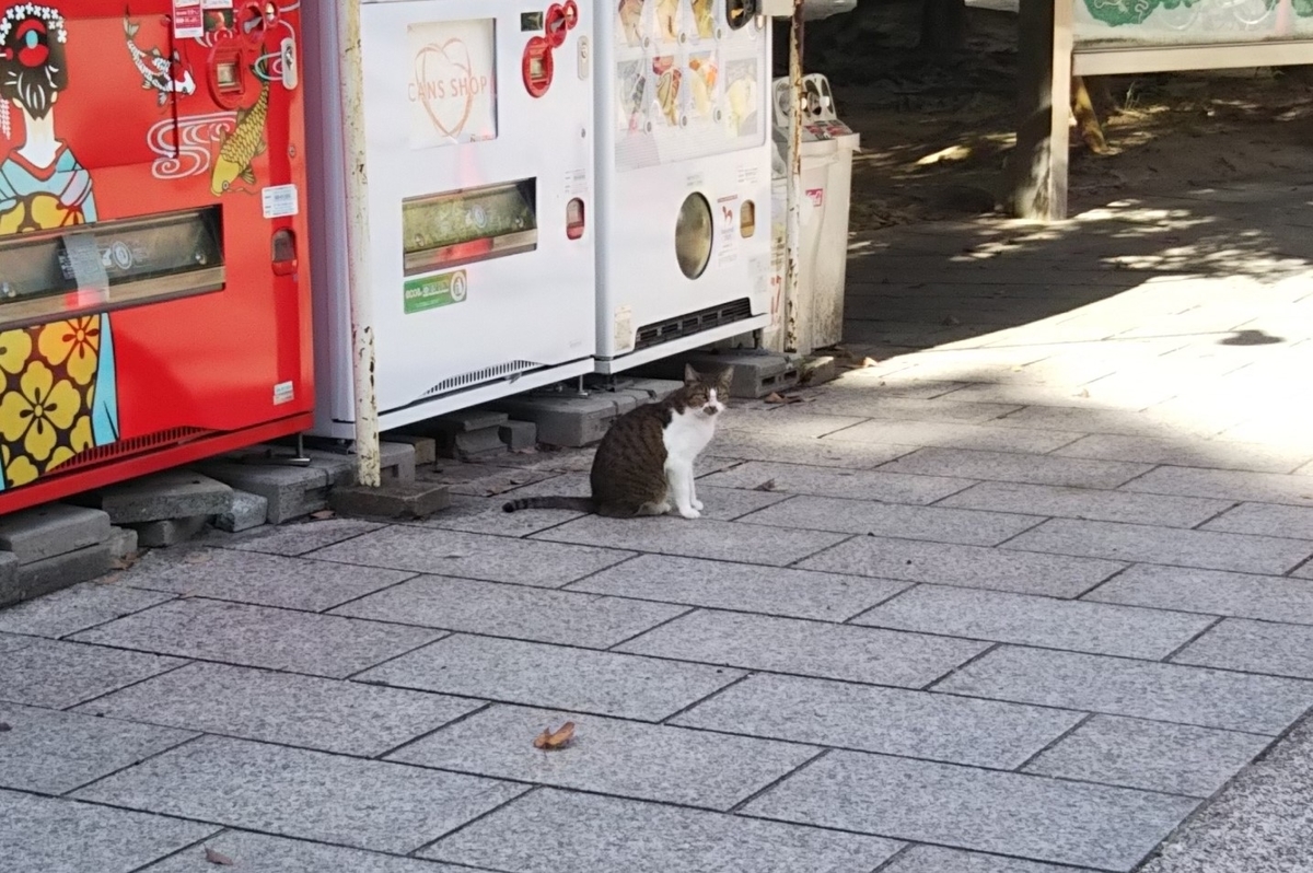 f:id:tarojiroko:20191004143619j:plain
