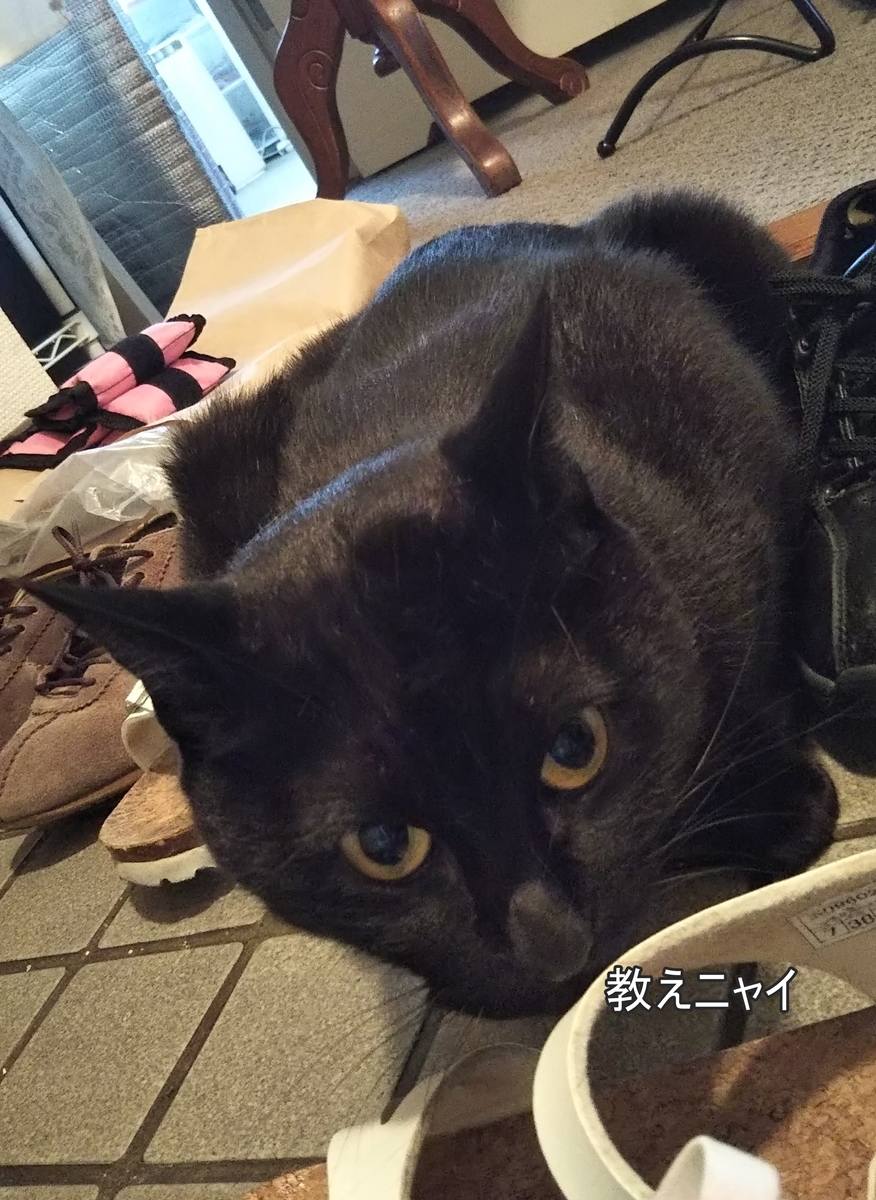 f:id:tarojiroko:20191005112852j:plain f:id:tarojiroko:20191005112852j:plain