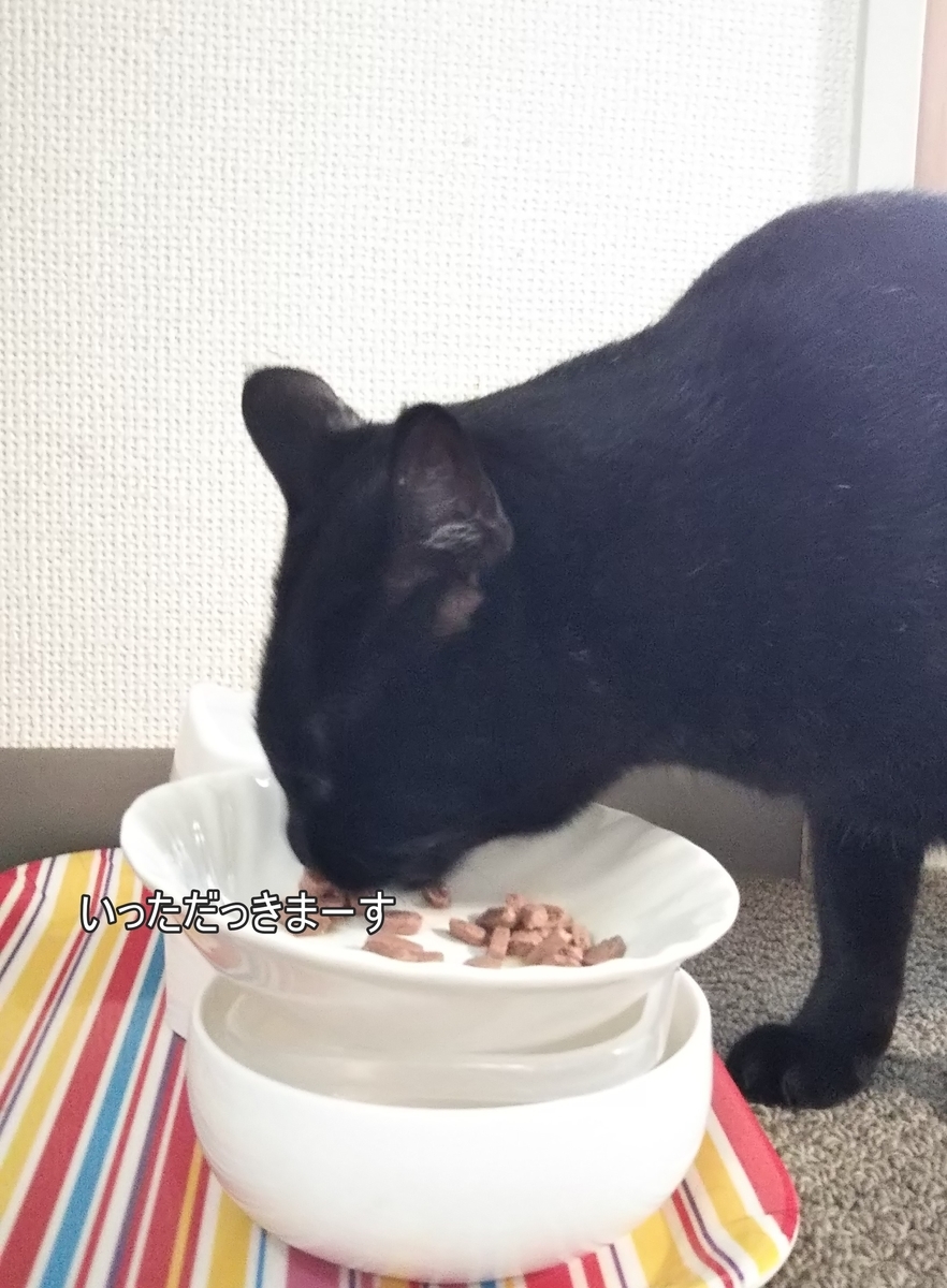 f:id:tarojiroko:20191005122752j:plain f:id:tarojiroko:20191005122752j:plain
