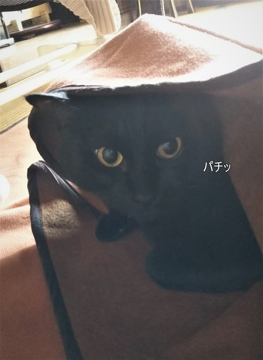 f:id:tarojiroko:20191014133614j:plain