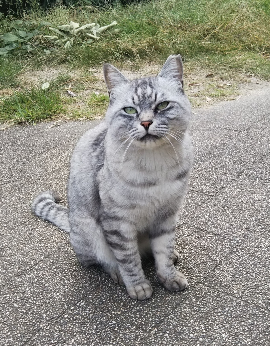 f:id:tarojiroko:20191014140730j:plain f:id:tarojiroko:20191014140730j:plain