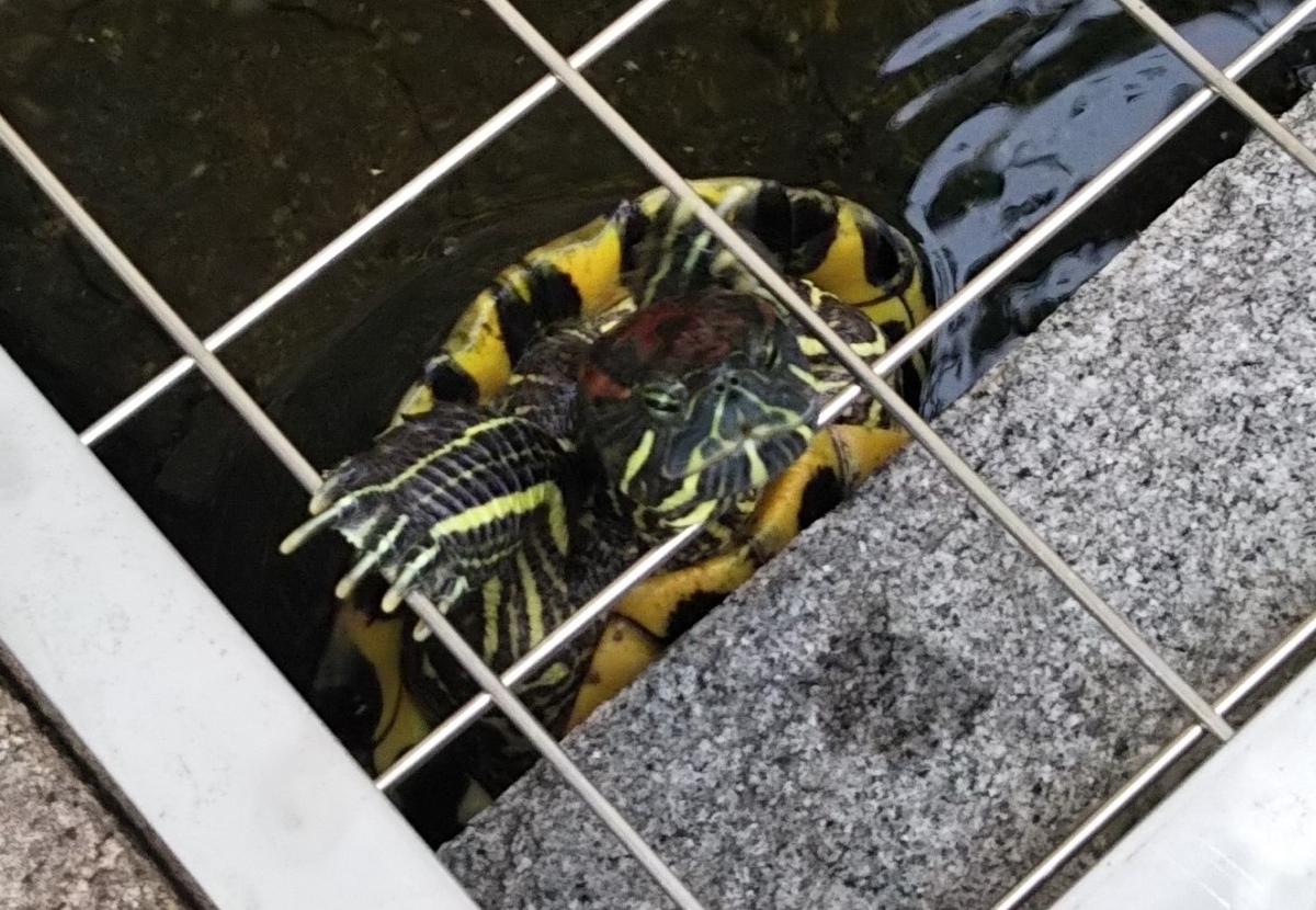 f:id:tarojiroko:20191020155306j:plain f:id:tarojiroko:20191020155306j:plain