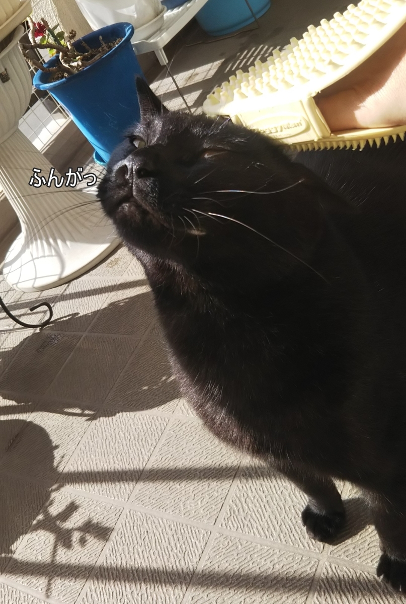 f:id:tarojiroko:20191022100909j:plain