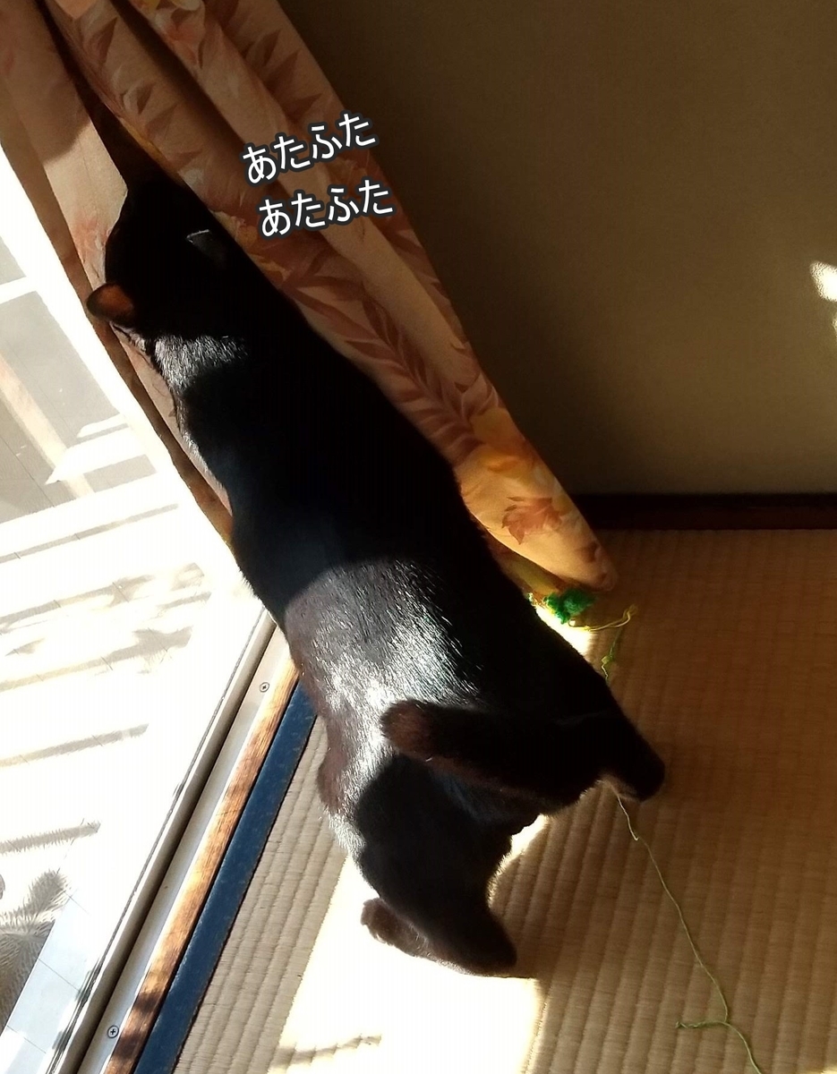 f:id:tarojiroko:20191106092434j:plain